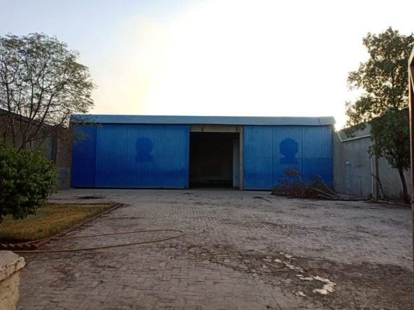 FB IMG 1724071026391