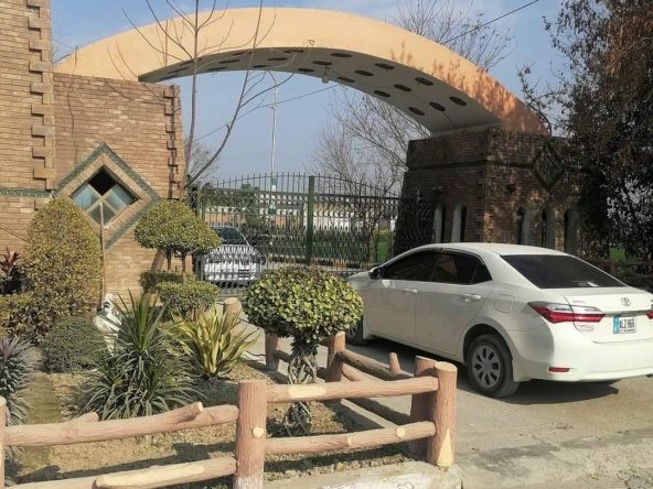 FB IMG 1724075271317 1