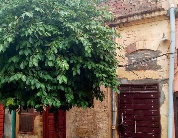 FB IMG 1725614906380