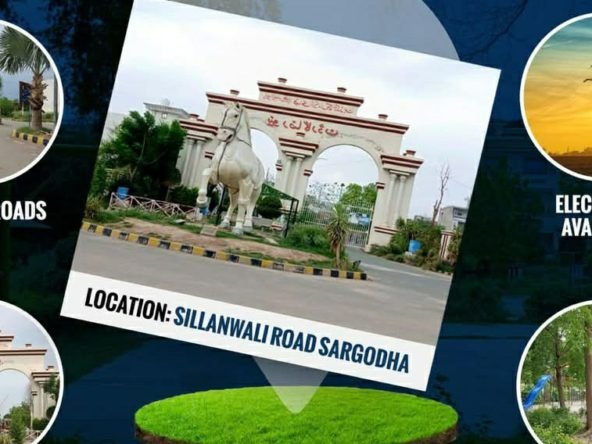 FB IMG 1738693331761 01 01