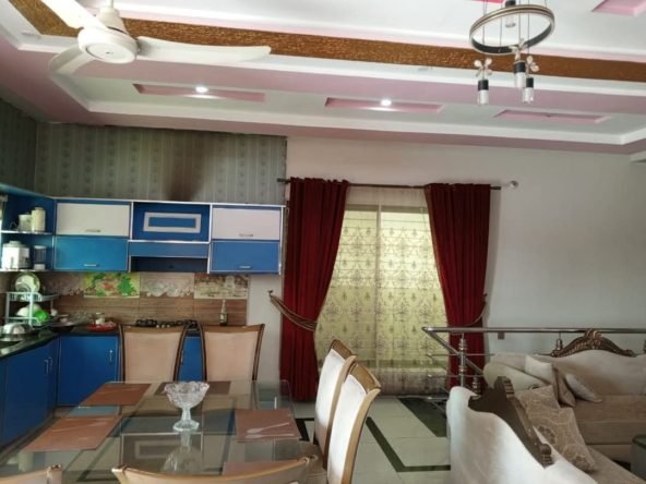 FB IMG 1738695239556